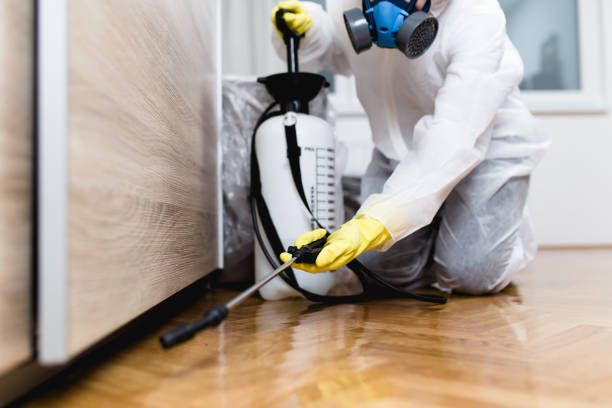 Best Wasp Removal Services  in Hicksville, NY