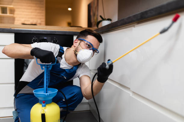 Best Exterminator Services  in Hicksville, NY