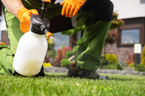 Best Mosquito Control Services  in Hicksville, NY