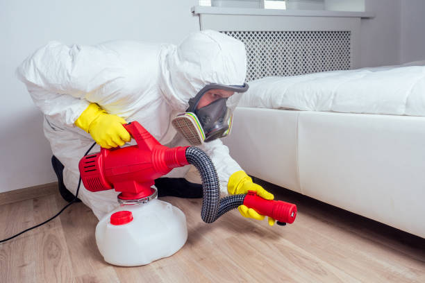 Best Pest Control Near Me in Hicksville, NY