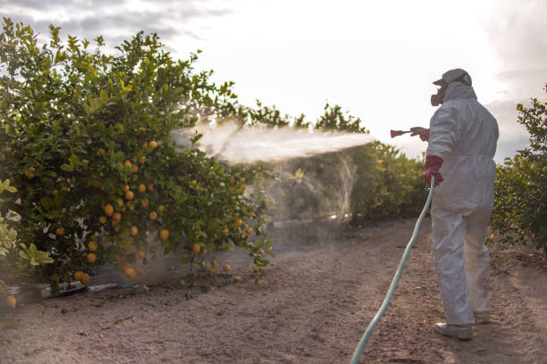 Best Emergency Pest Control  in Hicksville, NY