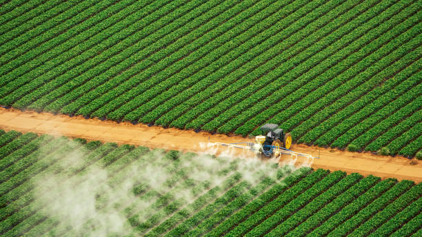 Best Pest Removal Services  in Hicksville, NY