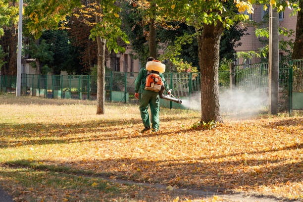 Best Termite Control Services  in Hicksville, NY