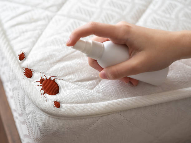Best Exterminator Services  in Hicksville, NY