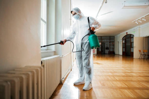 Best Termite Control Services  in Hicksville, NY